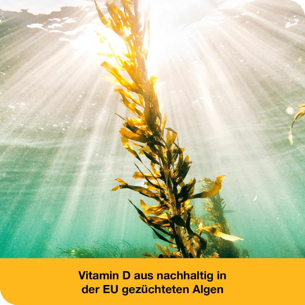 VITAMIN D-LOGES 7.000 I.E. pflanzlich Wochendepot