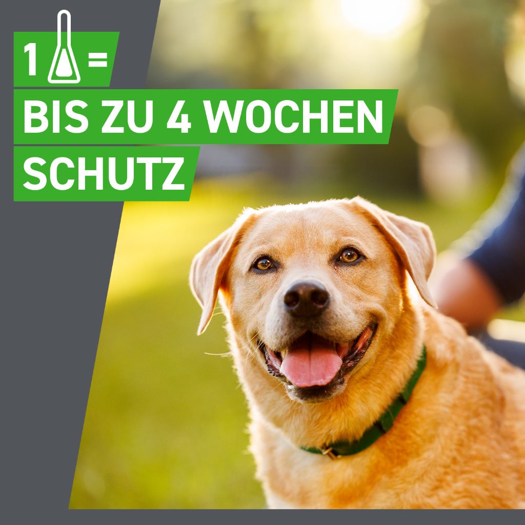 Frontline Combo Floh- und Zeckenschutz f. Hunde M 3 Pip.