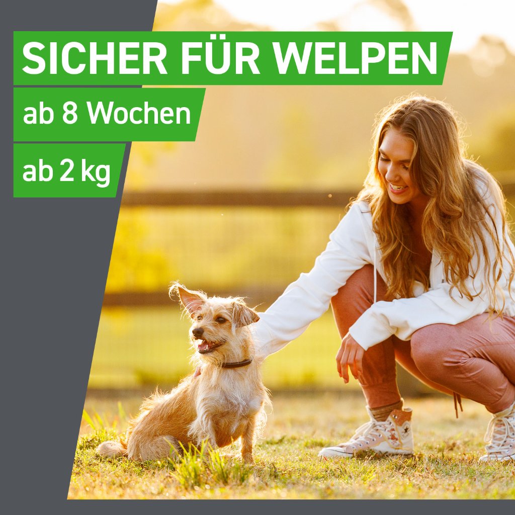 Frontline Combo Floh- und Zeckenschutz f. Hunde M 3 Pip.