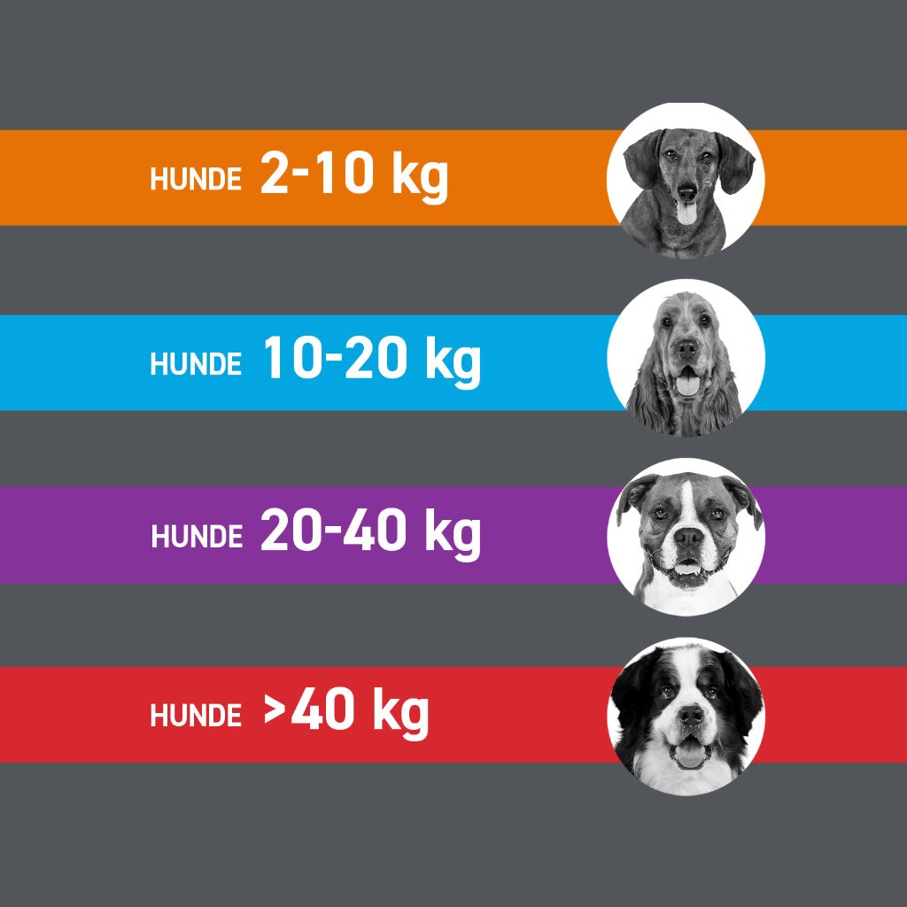 Frontline Combo Floh- und Zeckenschutz f. Hunde M 3 Pip.