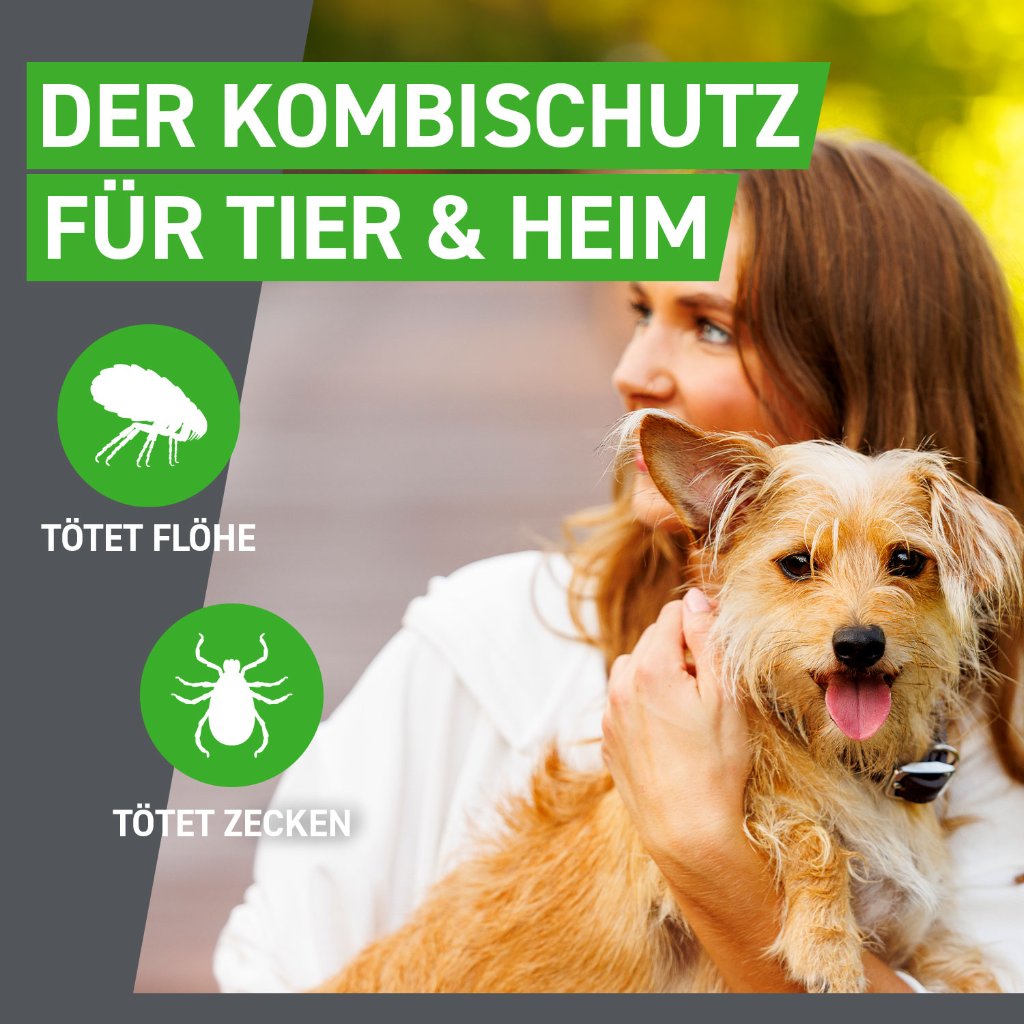 Frontline Combo Floh- und Zeckenschutz f. Hunde L 3 Pip.