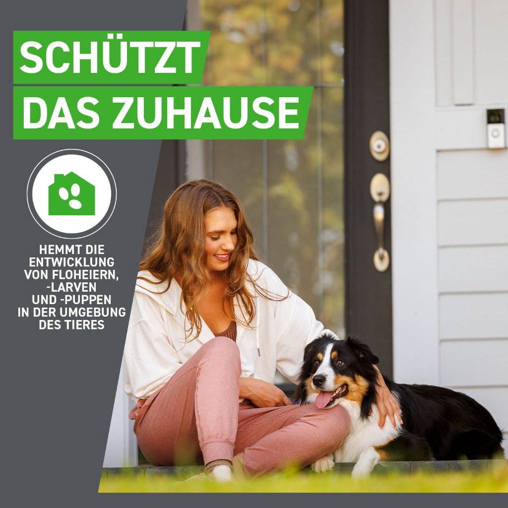Frontline Combo Floh- und Zeckenschutz f. Hunde XL 3 Pip.