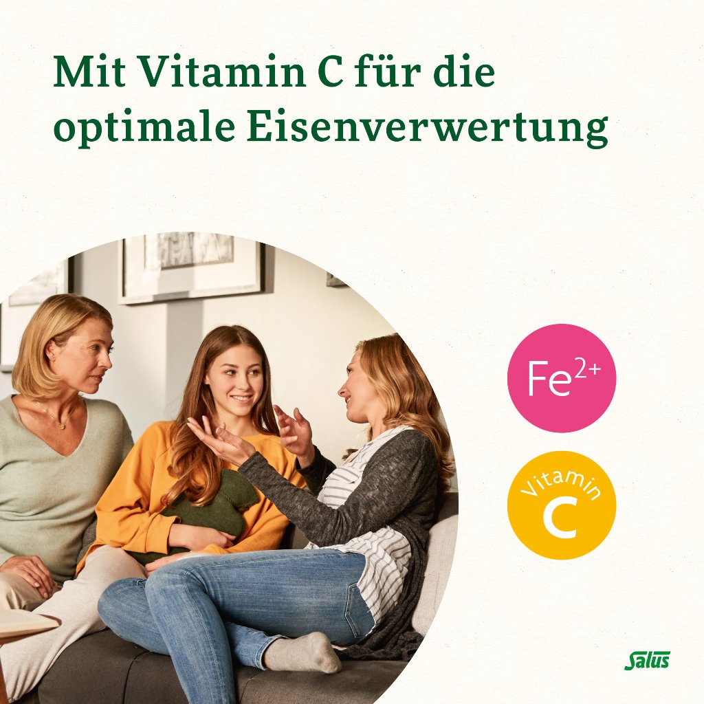 Floradix Eisen Folsäure Tabletten