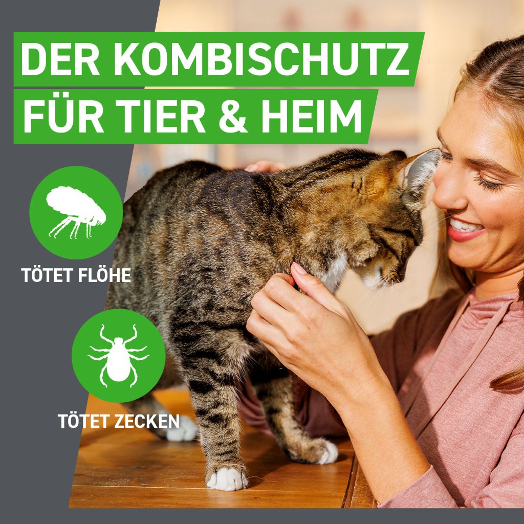Frontline Combo Floh- und Zeckenschutz f. Katzen 6 Pip.