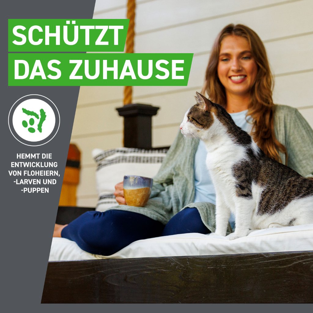 Frontline Combo Floh- und Zeckenschutz f. Katzen 6 Pip.