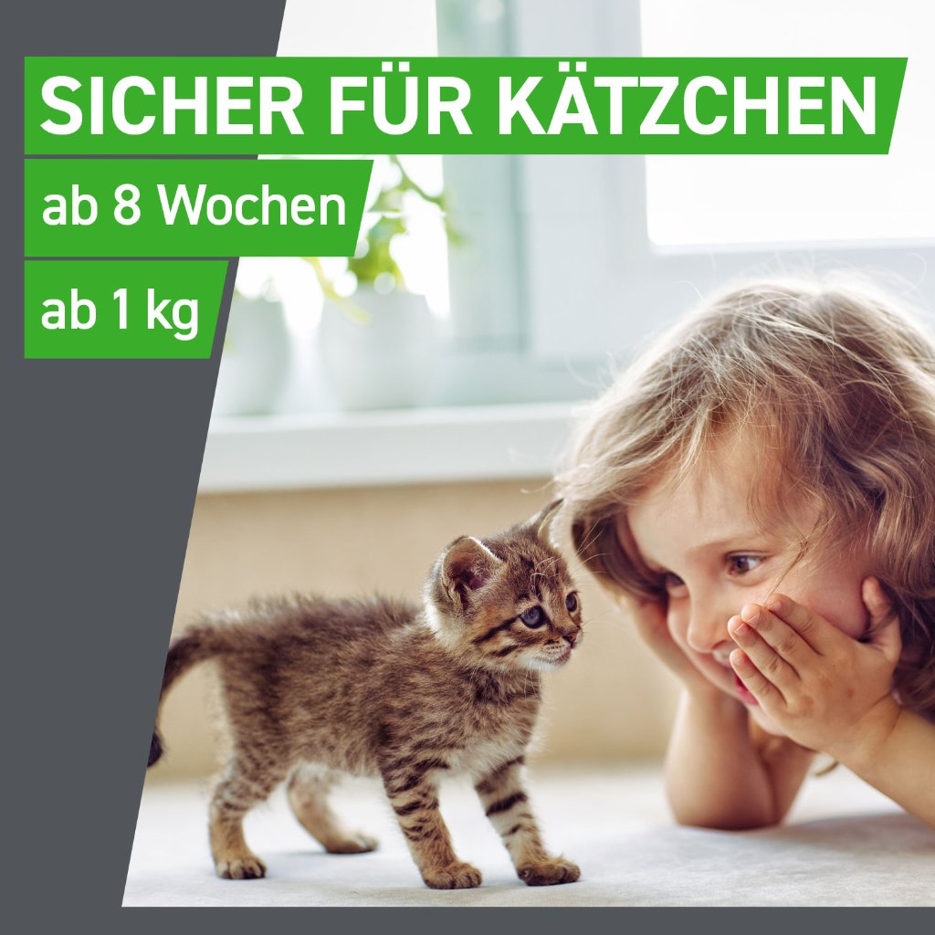 Frontline Combo Floh- und Zeckenschutz f. Katzen 6 Pip.