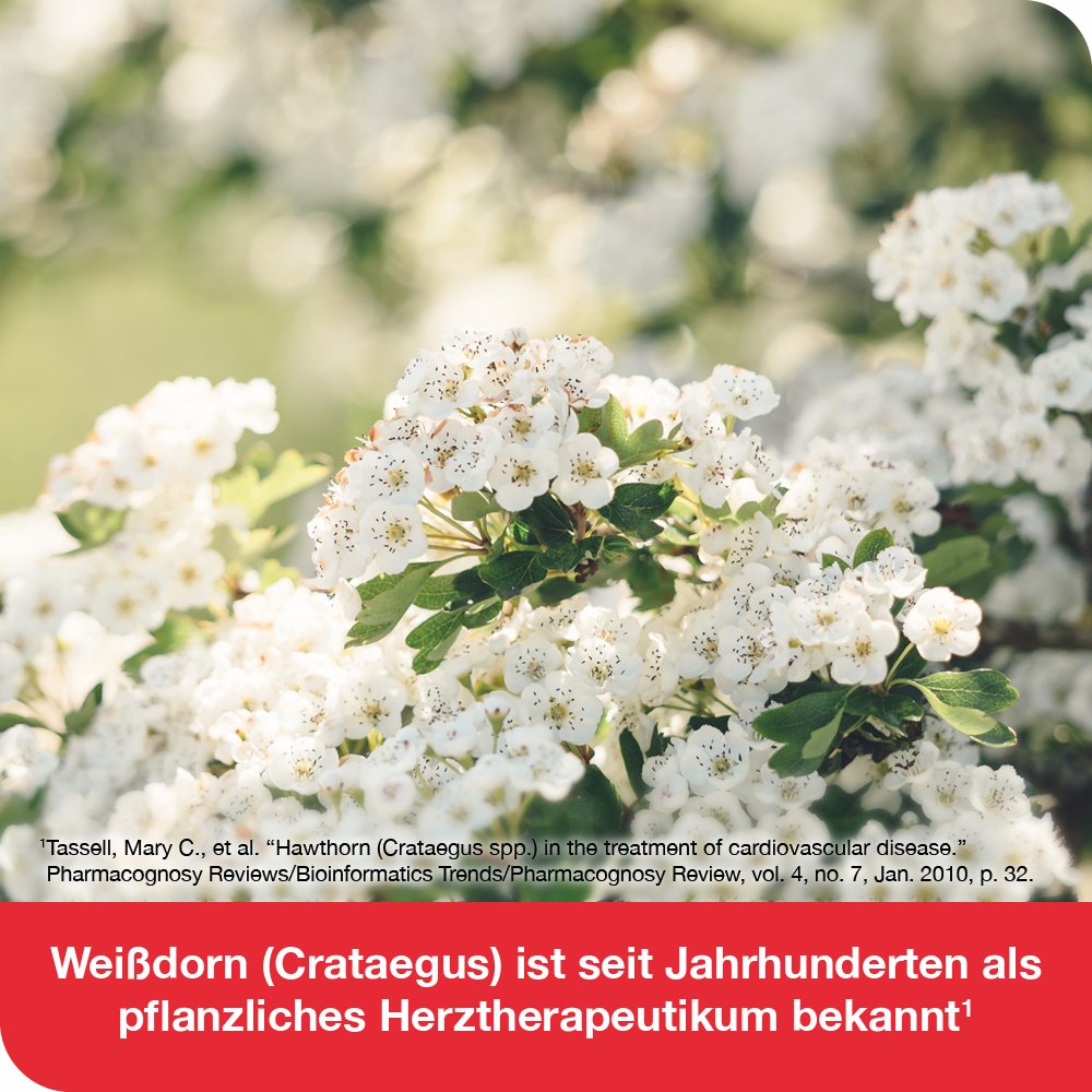 CRATAE-LOGES 450 mg Weißdorn Filmtabletten