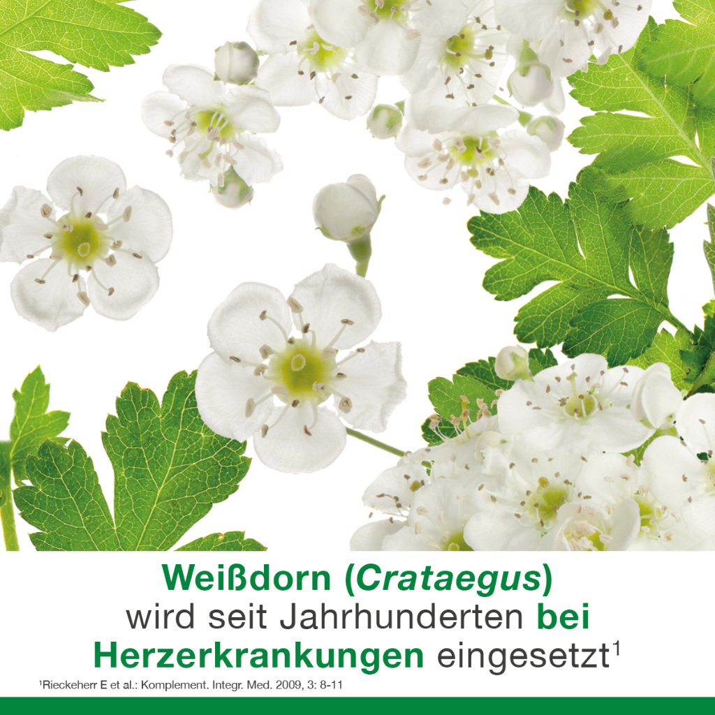 CRATAE-LOGES 450 mg Weißdorn Filmtabletten