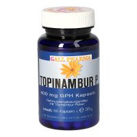 TOPINAMBUR P 400 mg Kapseln