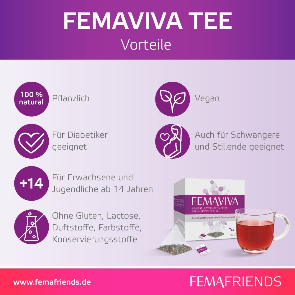 FEMAVIVA Tee Pyramidenbeutel