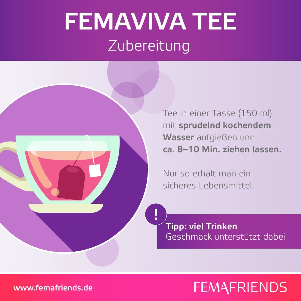 FEMAVIVA Tee Pyramidenbeutel