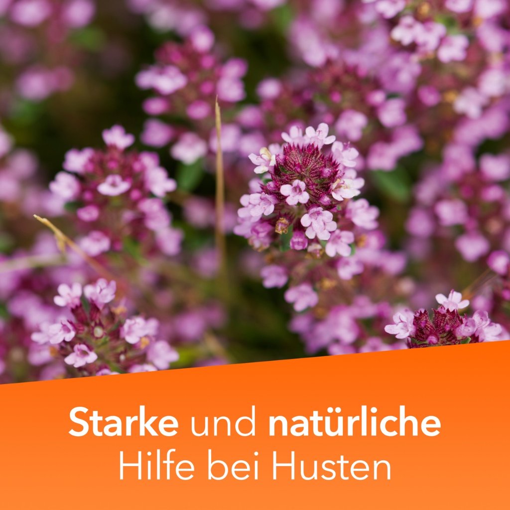 TUSSAMAG concent Hustensaft 30,2 g/100 ml Sirup