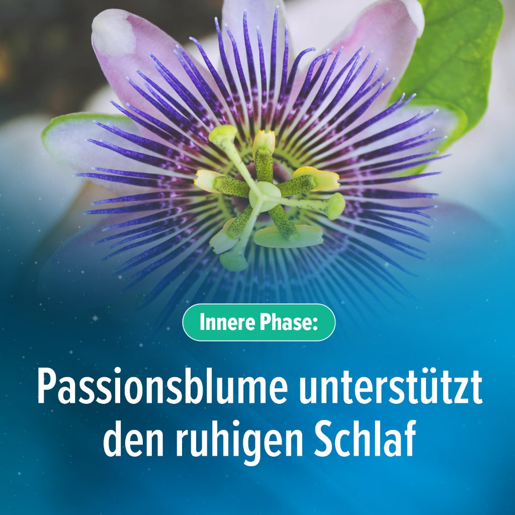 HOGGAR Melatonin DUO Einschlaf-Kapseln