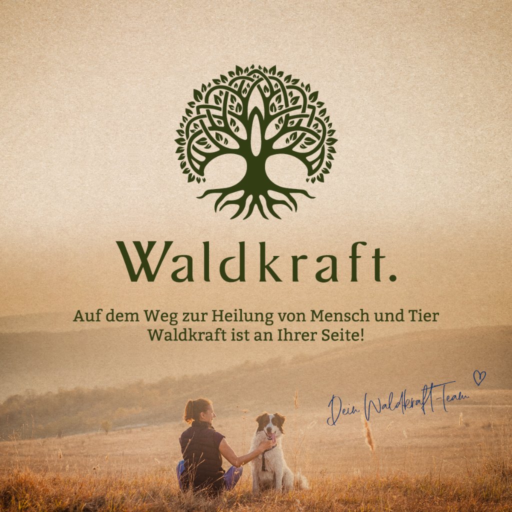 Erdling Borax Original - 99,9% Reinheit - OptiMSM® + Natriumtetraborat