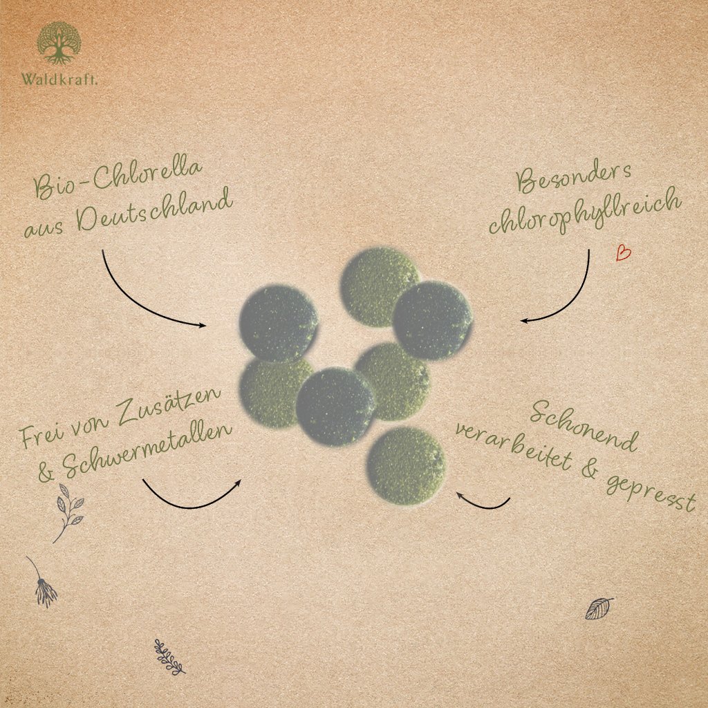 Erdling BIO Chlorella Presslinge