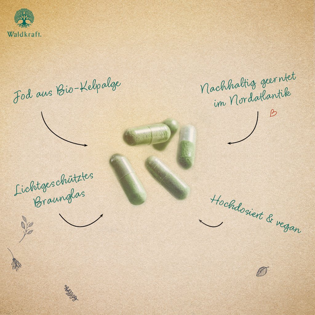 Erdling BIO Kelpalgen-Jod