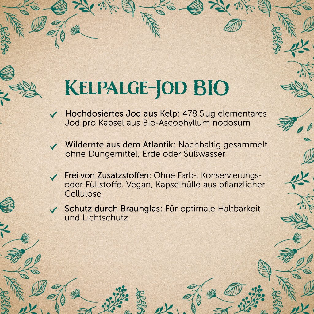 Erdling BIO Kelpalgen-Jod