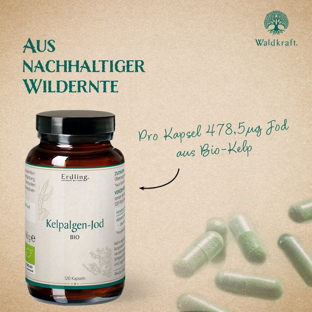Erdling BIO Kelpalgen-Jod
