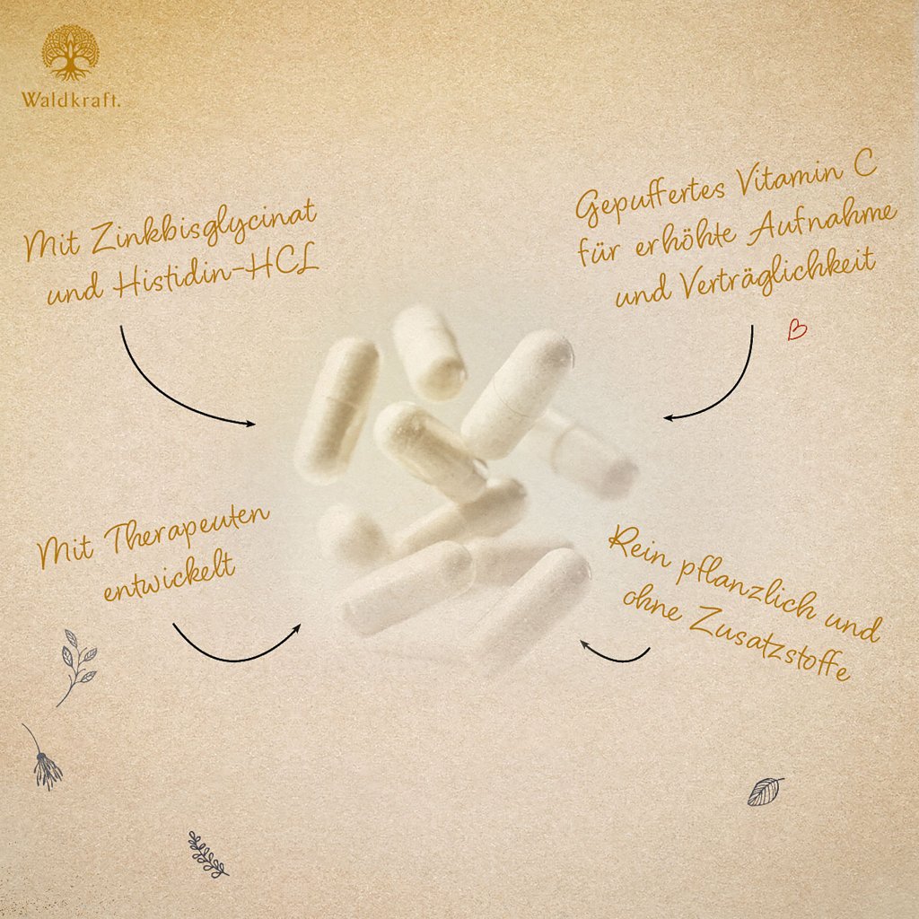 Erdling Vitamin C Komplex mit Zink + Histidin
