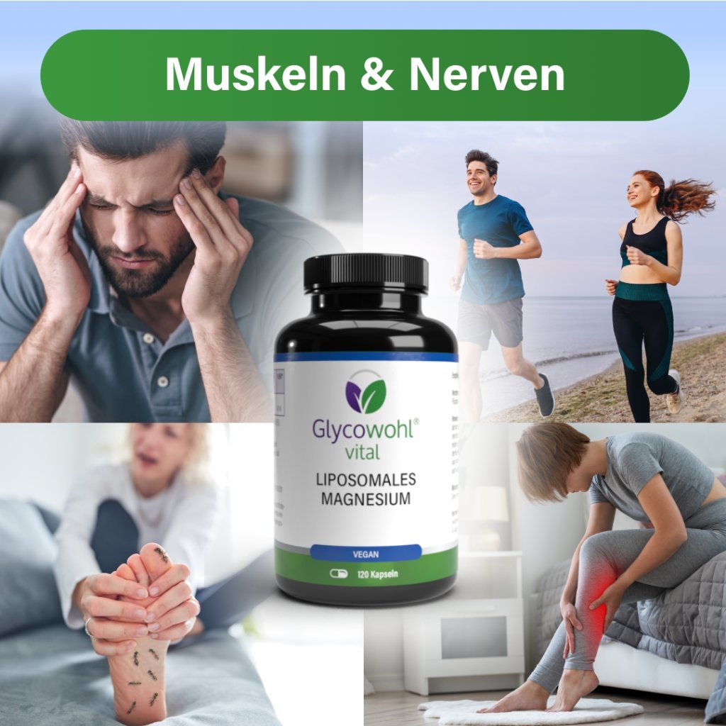 GLYCOWOHL VITAL Liposomales Magnesium hochdosiert