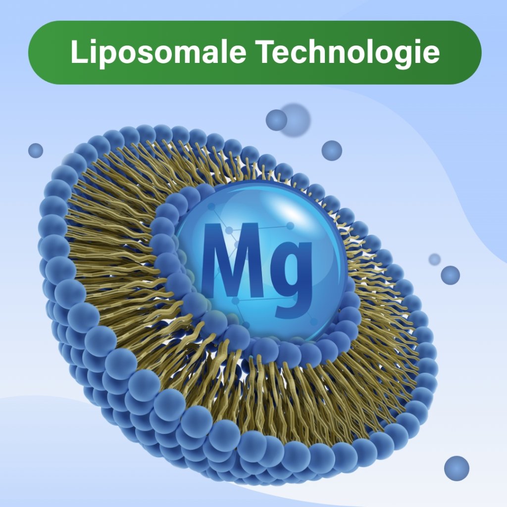 GLYCOWOHL VITAL Liposomales Magnesium hochdosiert