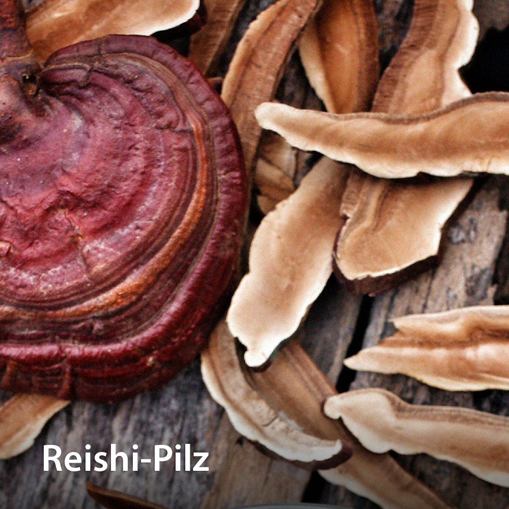 Chi-Cafe Probierpaket ReiChi Wellness Kaffee vegan