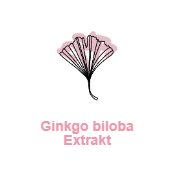 VIVIFLOR Ginkgo Gel