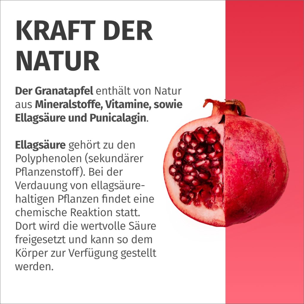 GREEN NATURALS Granatapfel + 40% Ellagsäure