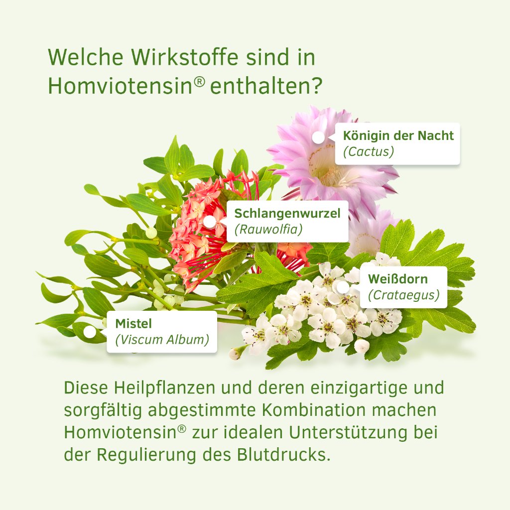 HOMVIOTENSIN Tropfen zum Einnehmen
