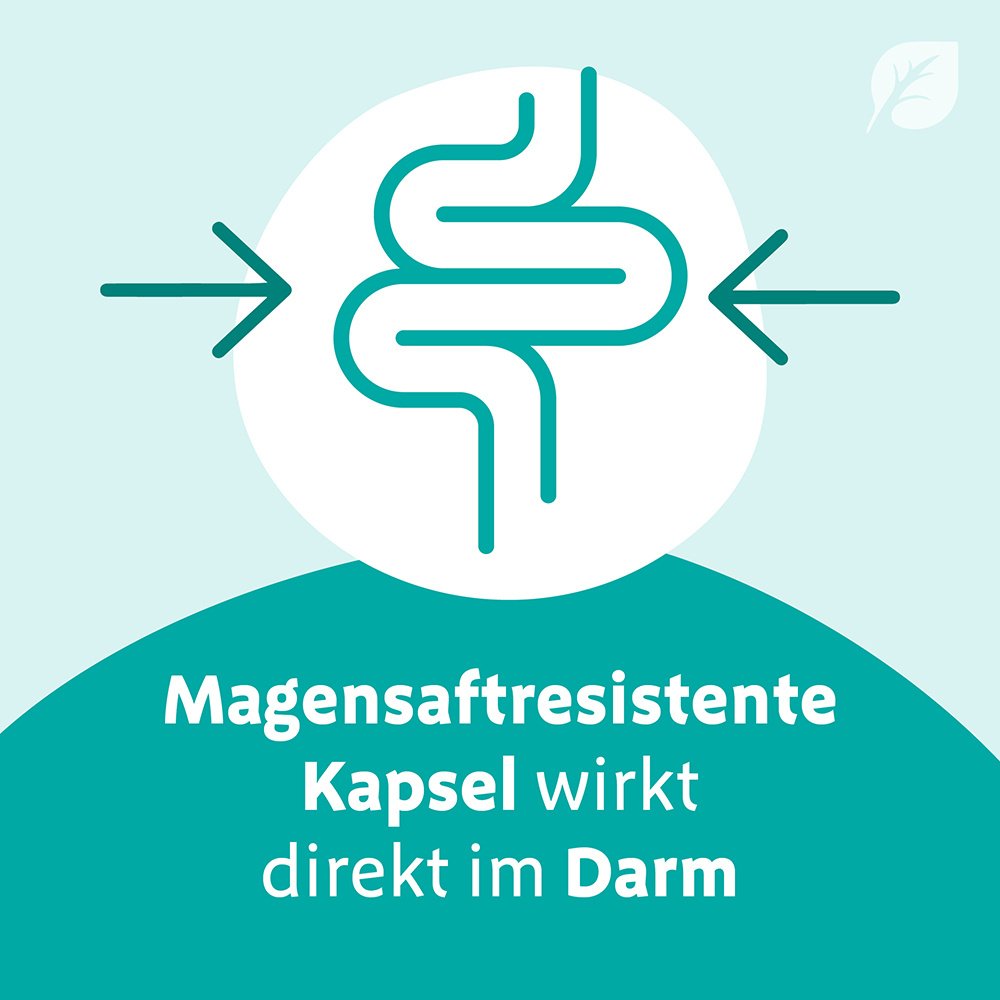 DIGESTOPRET magensaftresistente Weichkapseln