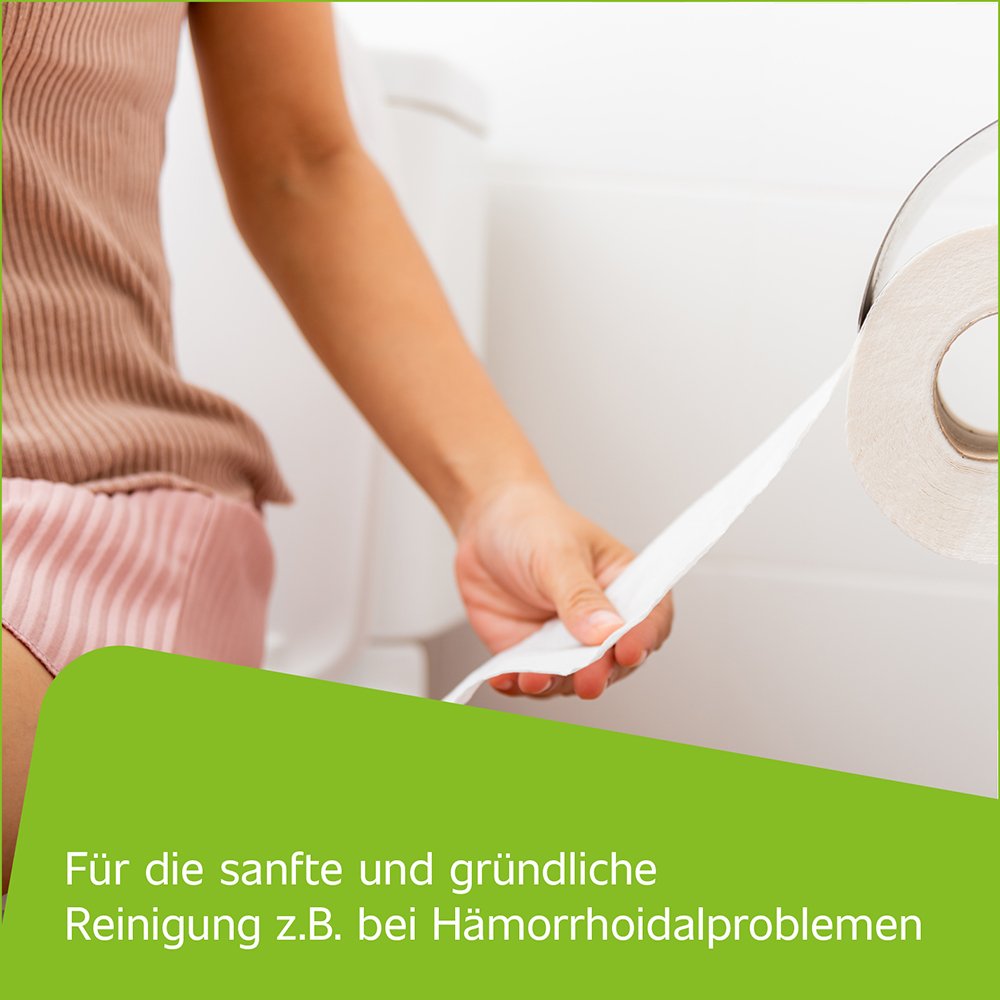 HAMETUM Reinigungsschaum