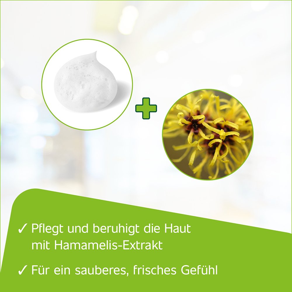 HAMETUM Reinigungsschaum