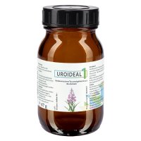 UROIDEAL 1 375 mg Weidenröschen/Tausendgüldenkraut