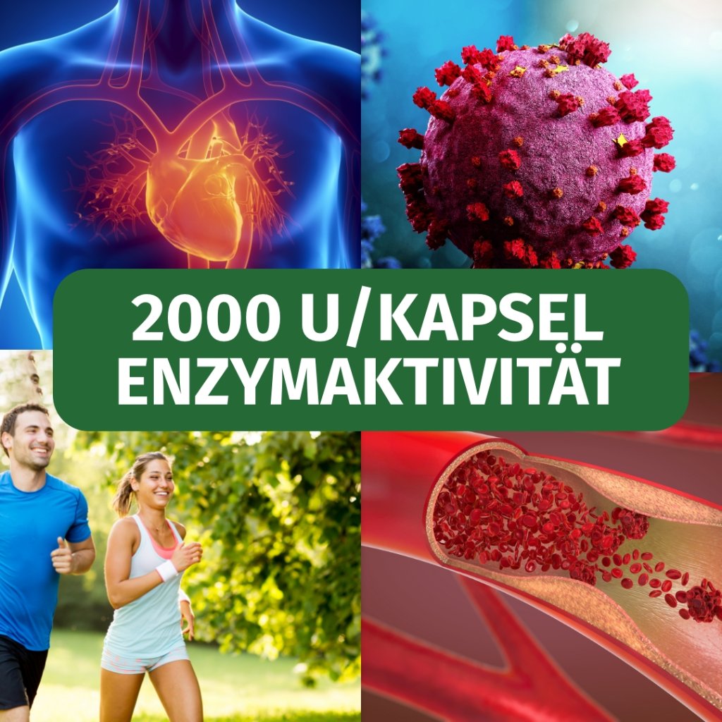 GREEN NATURALS Nattokinase 100 mg vegan Kapseln