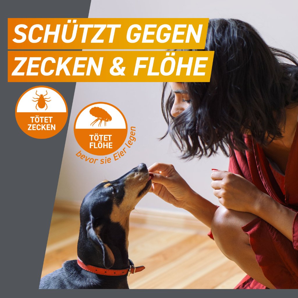 Frontpro  Floh- u. Zeckenschutz Kautablette Hund XS 2-4kg