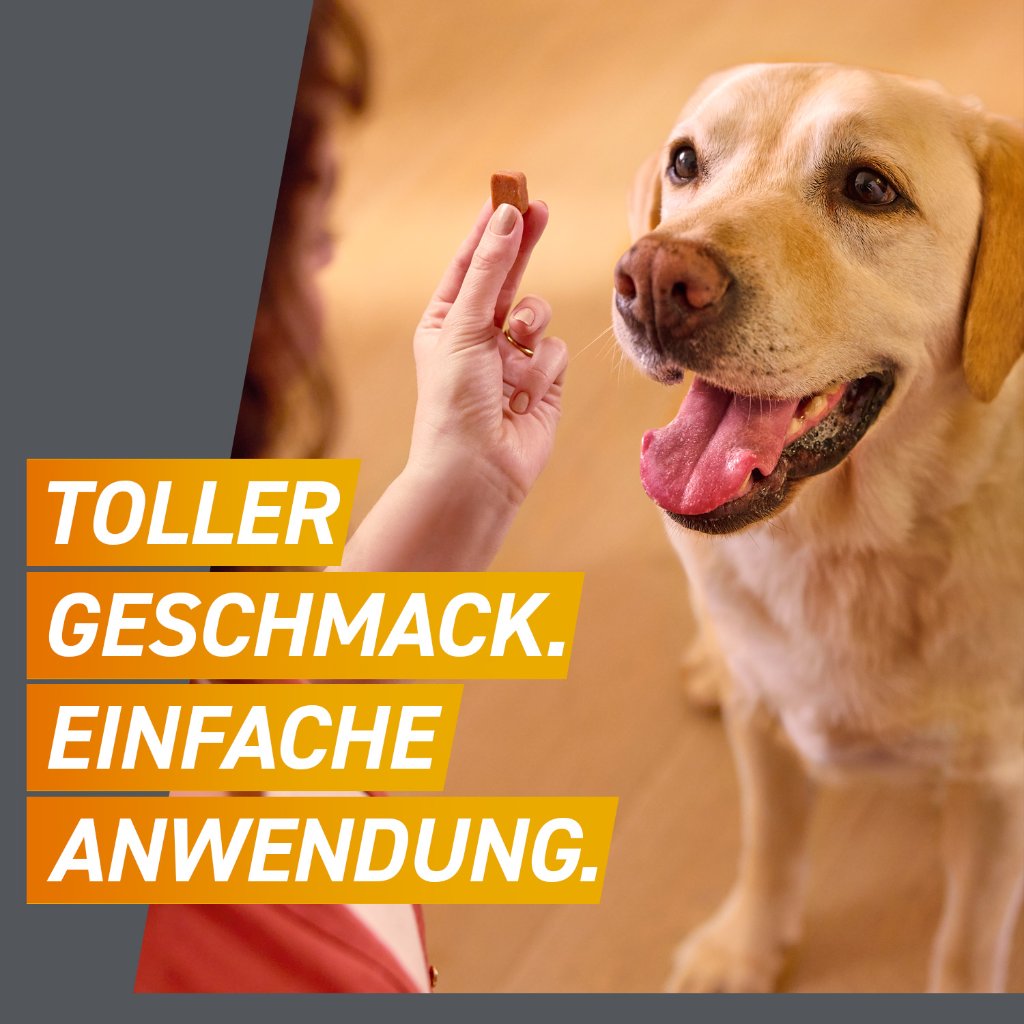 Frontpro  Floh- u. Zeckenschutz Kautablette Hund XS 2-4kg