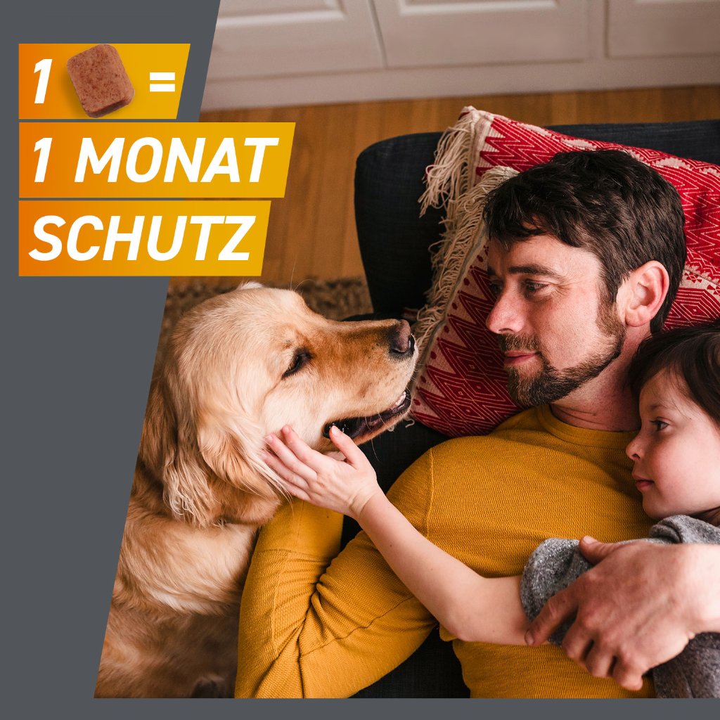 Frontpro  Floh- u. Zeckenschutz Kautablette Hund XS 2-4kg