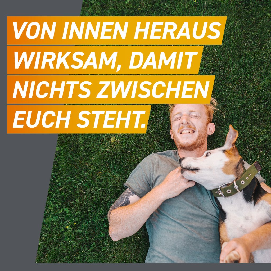 Frontpro Floh- u. Zeckenschutz Kautablette Hund S 4-10kg