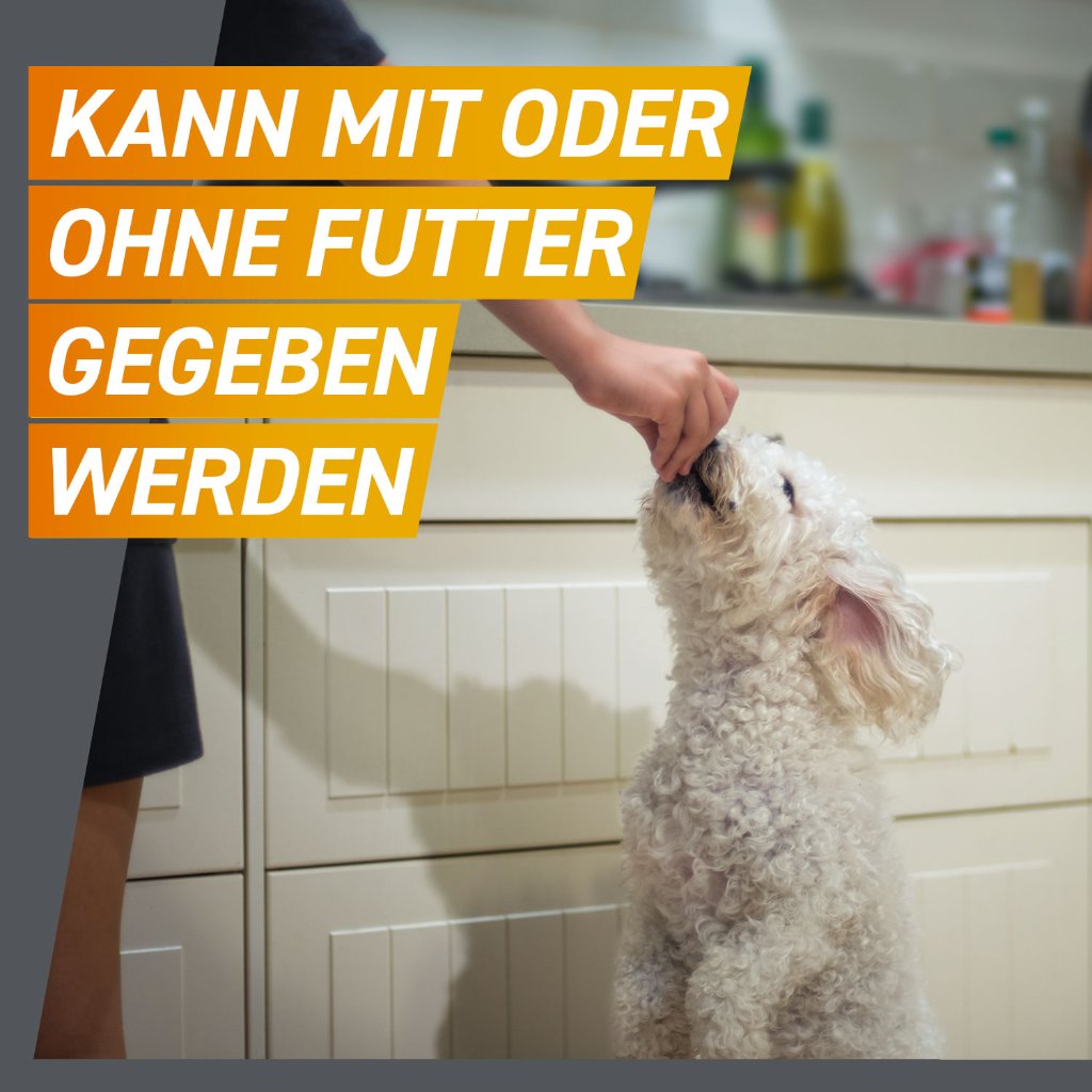 Frontpro  Floh- u. Zeckenschutz Kautablette Hund M 10-25kg
