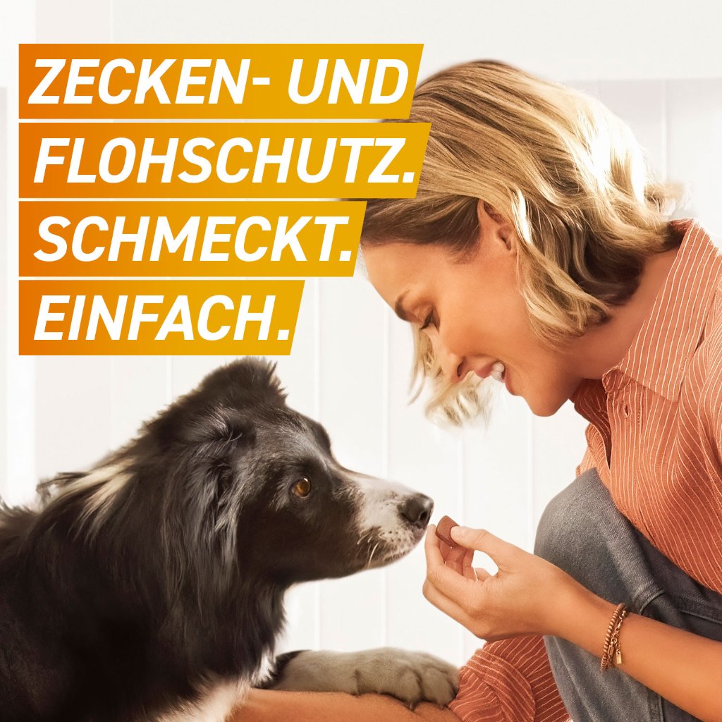 Frontpro Floh- u. Zeckenschutz Kautablette Hund L 25-50kg