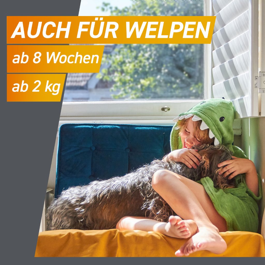 Frontpro Floh- u. Zeckenschutz Kautablette Hund L 25-50kg