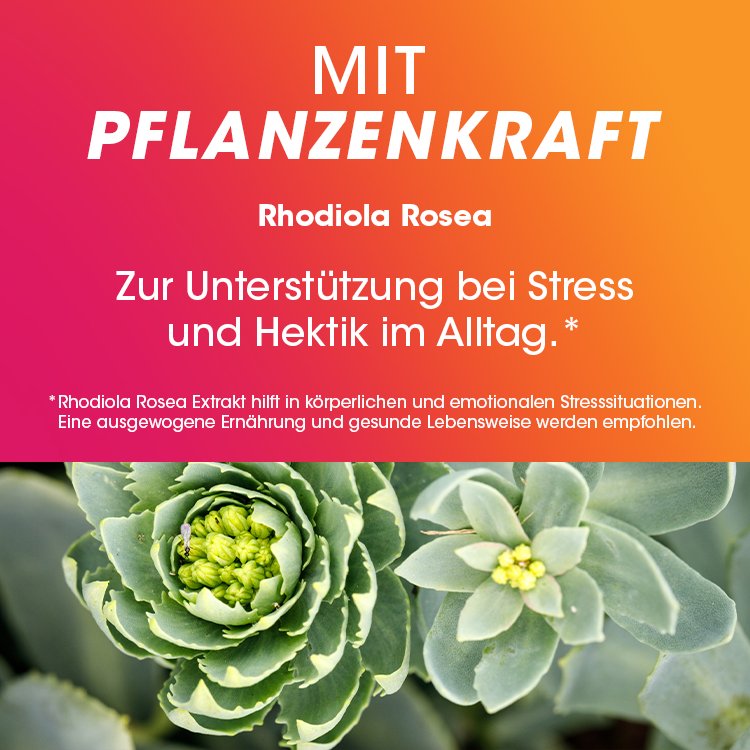 VITASPRINT Duo Energie Tabletten