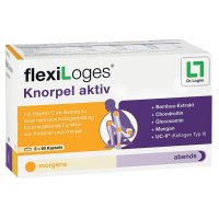 flexiLoges Knorpel aktiv