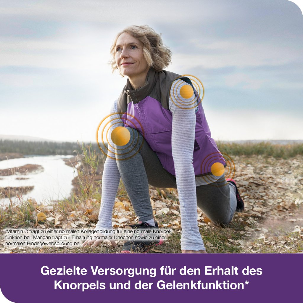 flexiLoges Knorpel aktiv 120 Kapslen