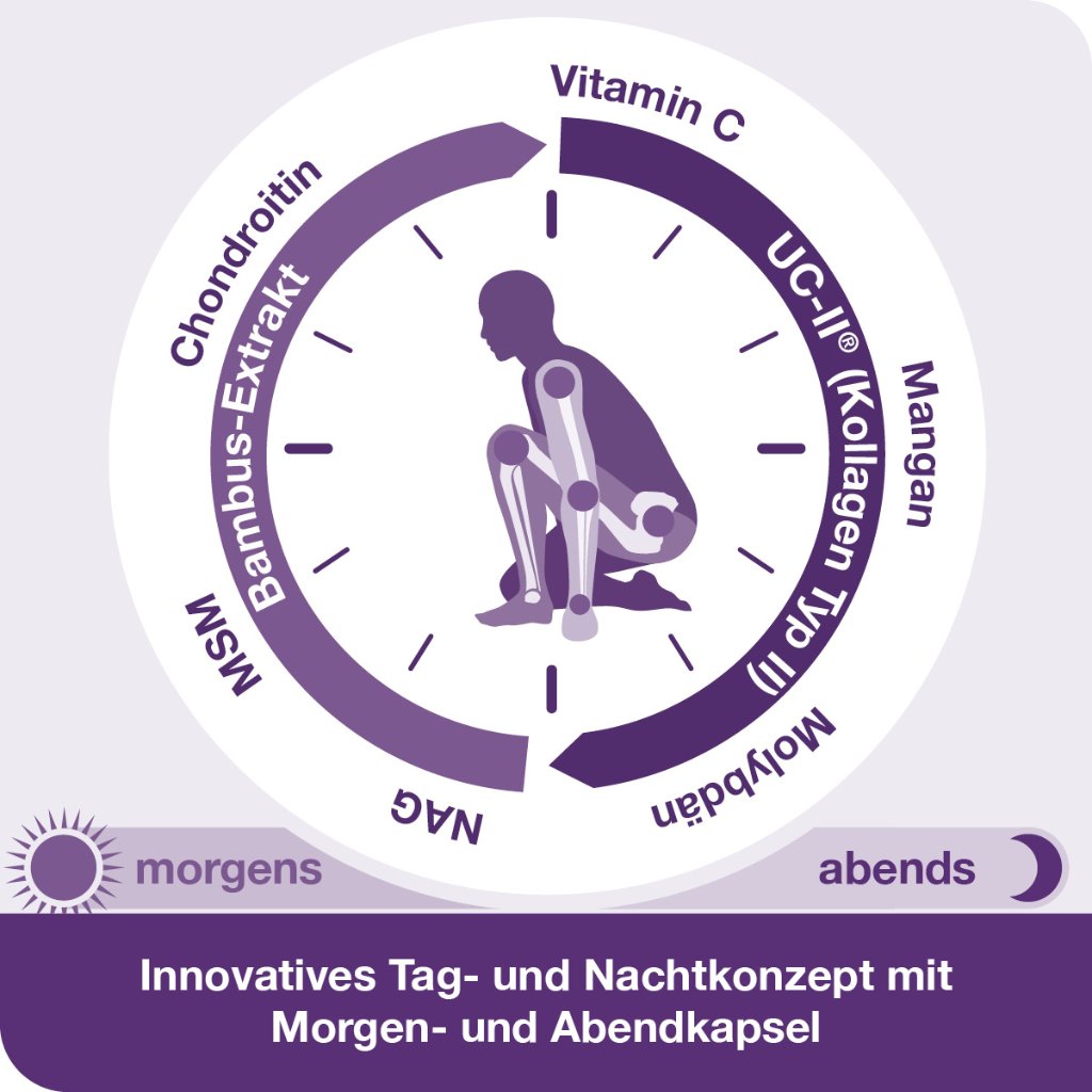 flexiLoges Knorpel aktiv 120 Kapslen