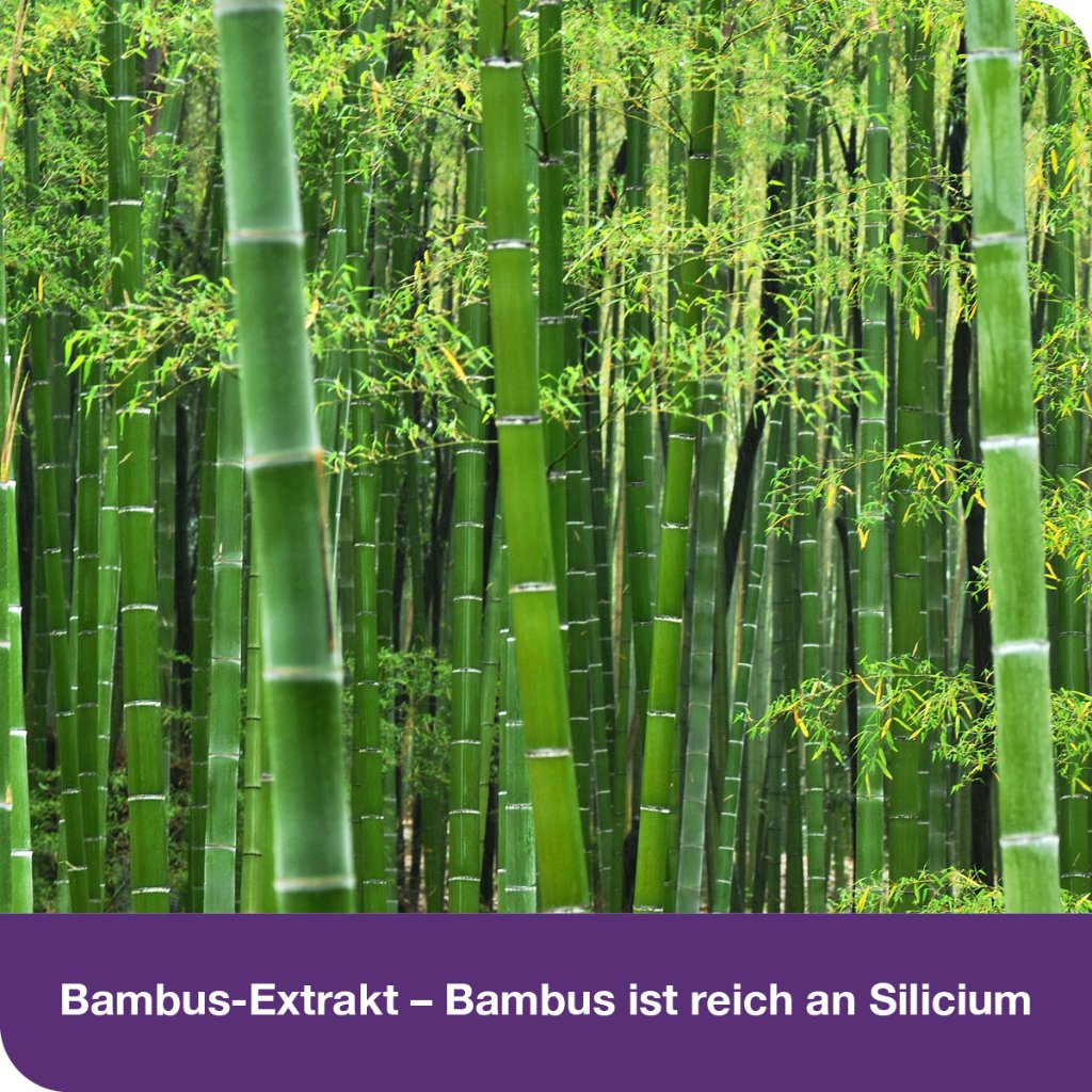 flexiLoges Knorpel aktiv 120 Kapslen