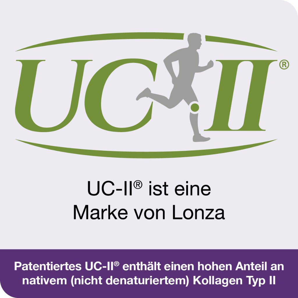 flexiLoges Knorpel aktiv 240 Kapseln