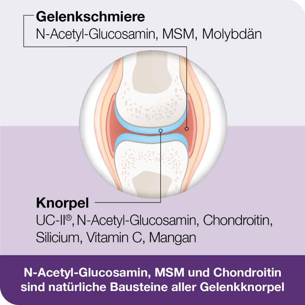 flexiLoges Knorpel aktiv 240 Kapseln
