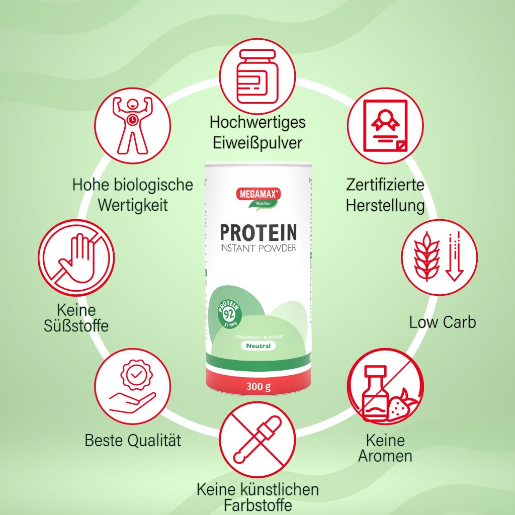 PROTEIN POWDER instant Megamax