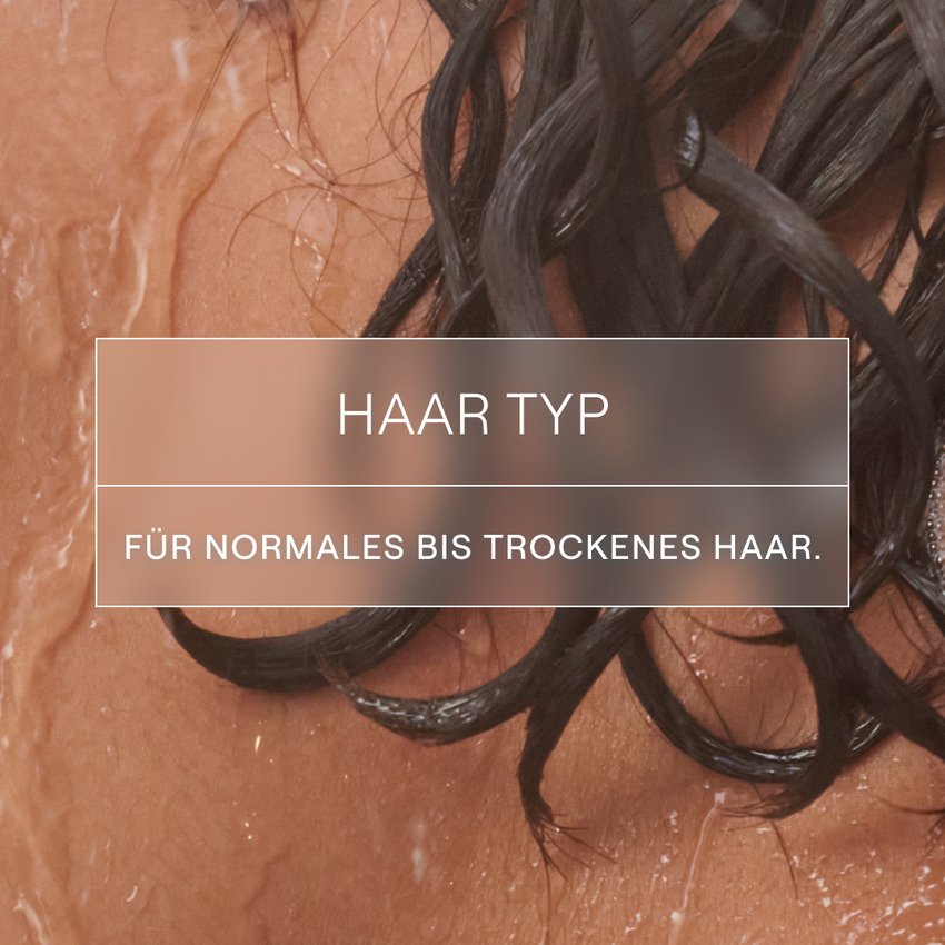 WELEDA festes Shampoo Feuchtigkeit & Glanz